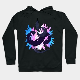 Trans Pride Flag Galaxy Python Hoodie